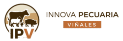 Innova Pecuaria Viñales